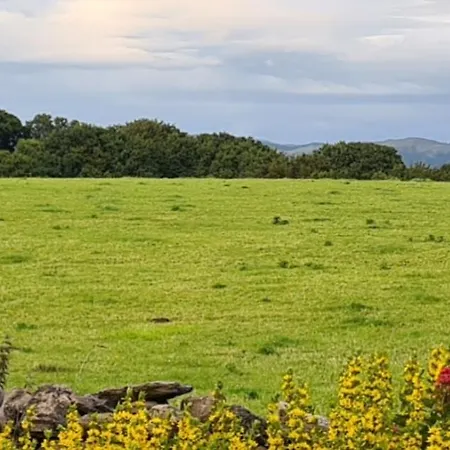 Nyaraló Quakers Field View *