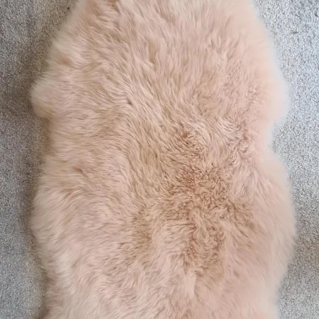 Nyaraló Quakers Field View